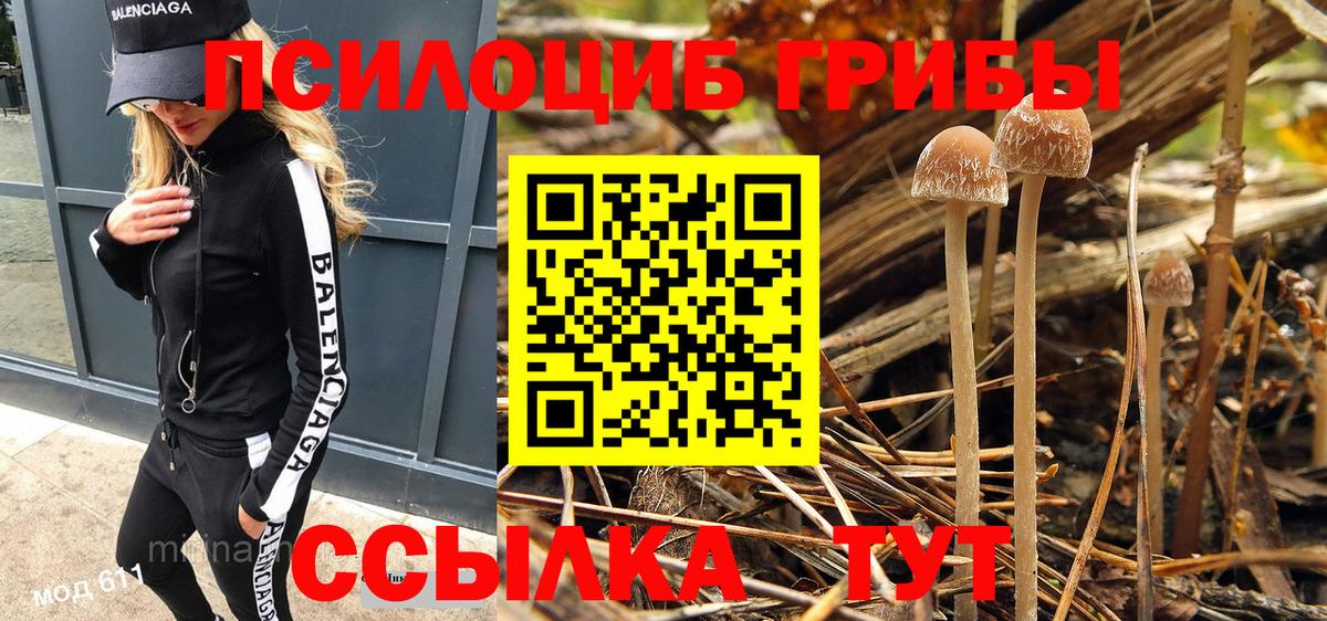 Псилоцибиновые грибы Psilocybine cubensis  Вход с VPN  Конаково 