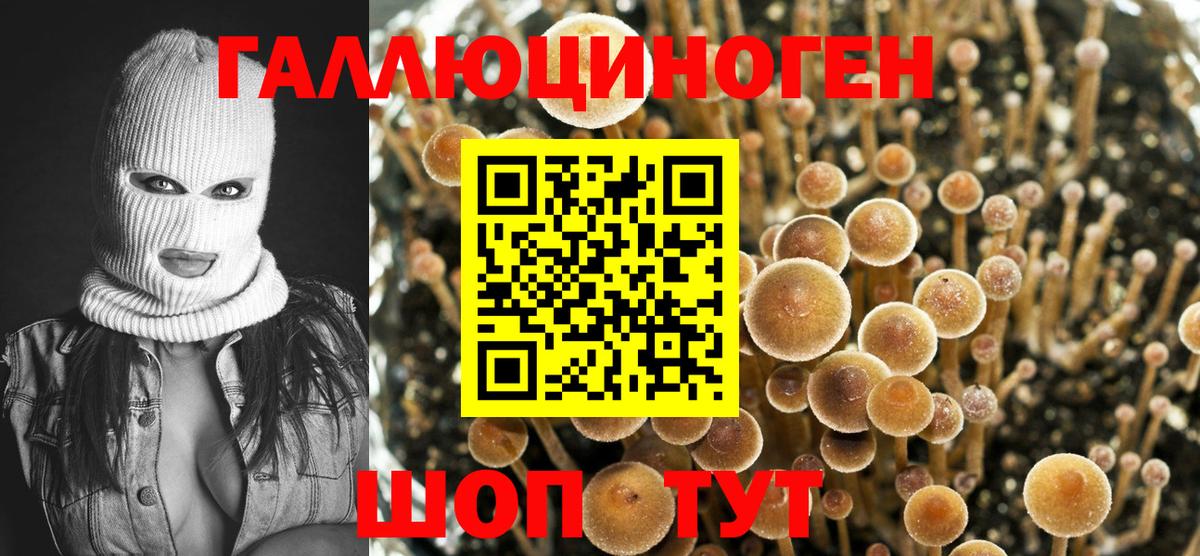 Галлюциногенные грибы Конаково